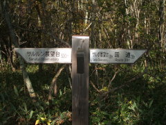 運命の分かれ道(違