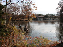 大沼公園 散策路