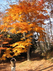 大沼公園 散策路