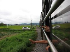 写真撮る時は気をつけよう(ぉ