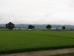 如何にも北海道な風景