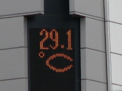 1106̎Dy̋Ccc