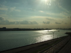 ( @L|M)Tcc