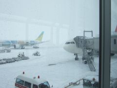 旭川空港到着