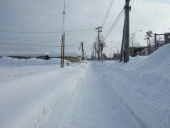 雪国の道
