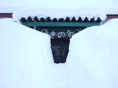 「ゆきのおと」玄関