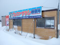 抜海ゴマアザラシ観察所