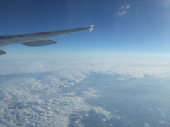 JAL507便