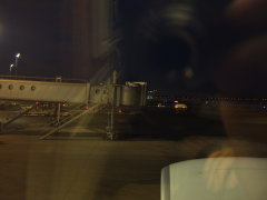 JAL528便 新千歳空港