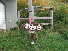 268ピークへの登山口