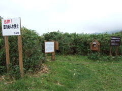 礼文滝分岐点