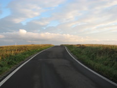 スコトン岬への路