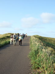 江戸屋山道