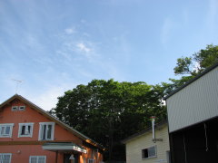 ああ、青空……(・_・、)