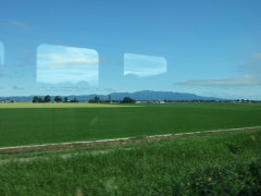 空青、田緑
