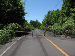旧国道40号線