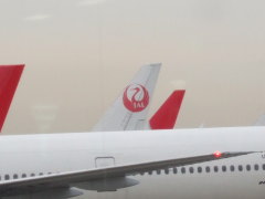 鶴のマーク……