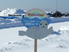 抜海港 ゴマフアザラシ案内看板
