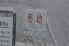 4000坪……( ゜д゜)ポカーン