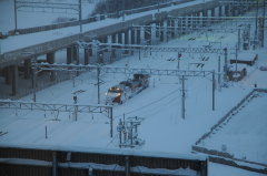 旭川ステーションホテルからの風景