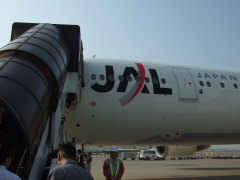 JAL1145便 たんちょう釧路空港行き