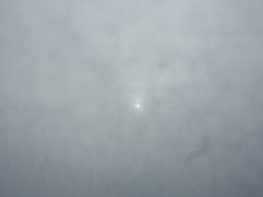 曇天なのに、日焼けした……(^_^;