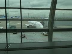 ANA 571便