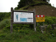 礼文林道分岐点