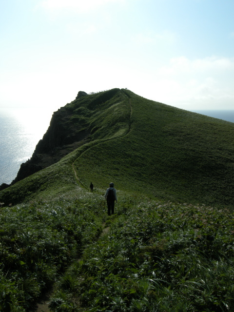 ゴロタ山頂まであとわずか