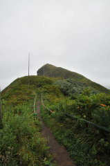 利尻島 ペシ岬