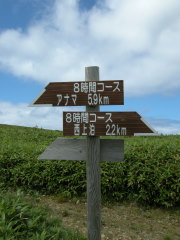 召国分岐点
