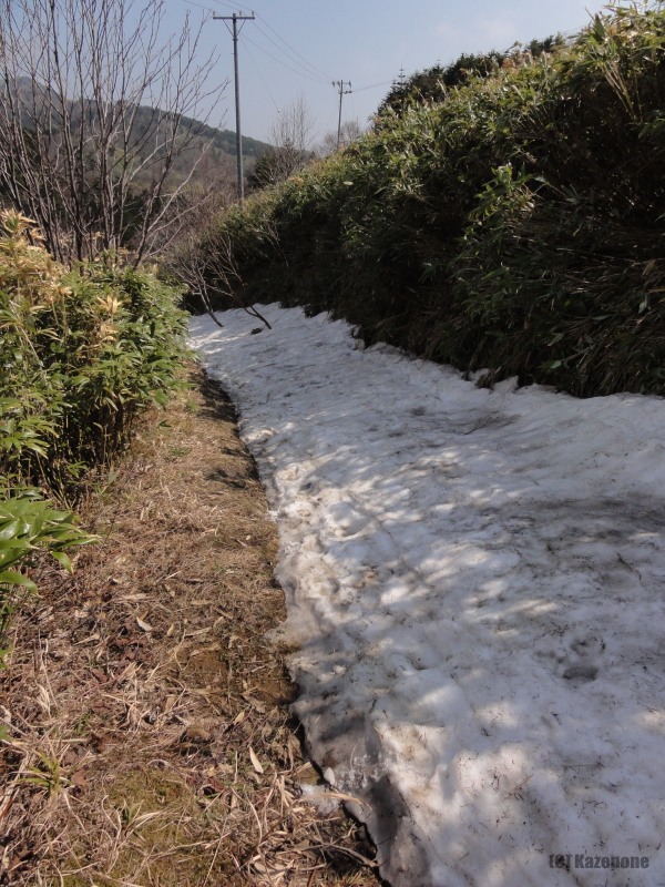 桃岩登山道