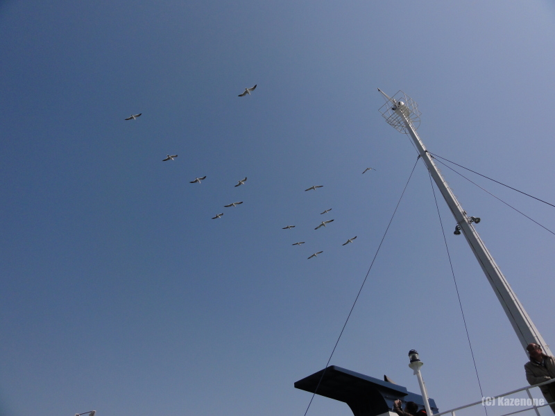 礼文島沿岸は青空 (゚∀゚)
