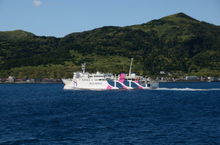 qH̑Dォ痻D@āAĊOƖ肷