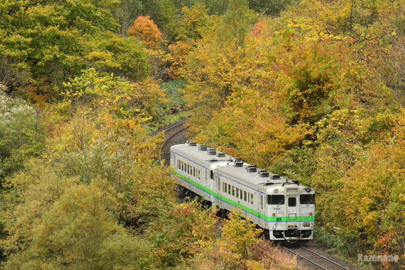 4622D ʗ