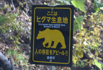 Ƃ͂Ȃi