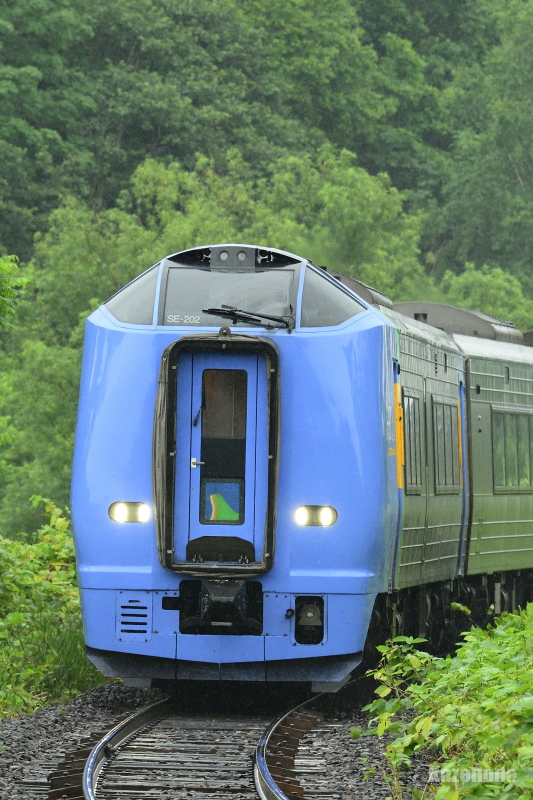 4326D ʗ