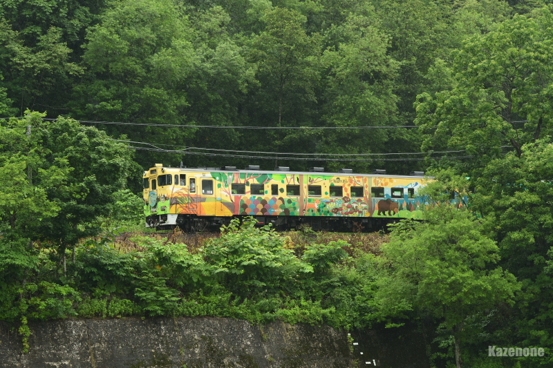 9445D 