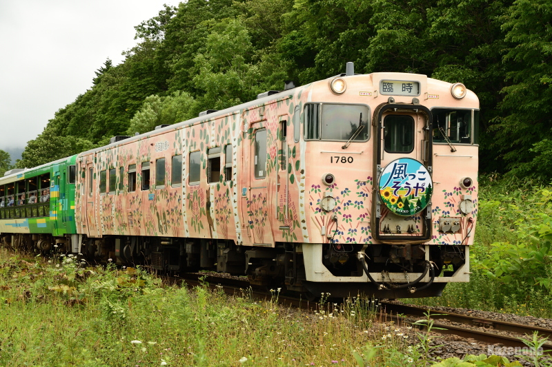 9342D Q