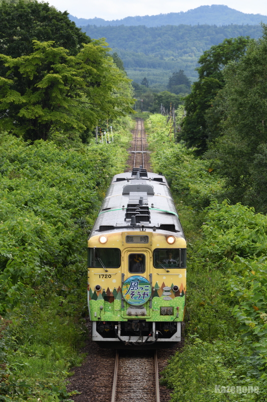 9341D P