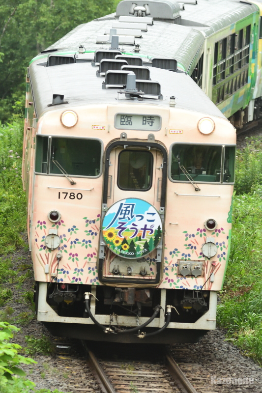 9446D 