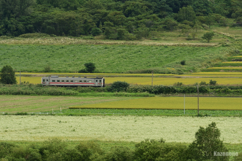 3322D ȂS