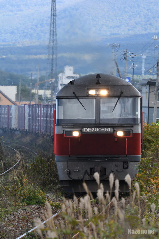 3059 ݕ