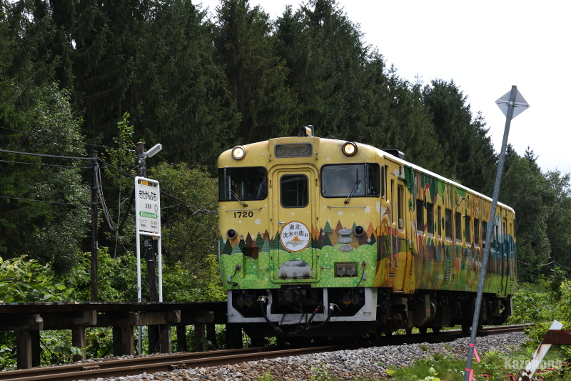 3321D ȂP