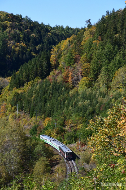 4658D ʗ
