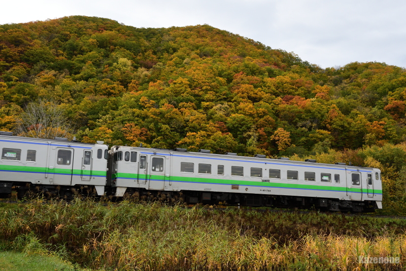 4659D ʗ