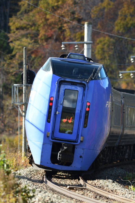 4004D }S