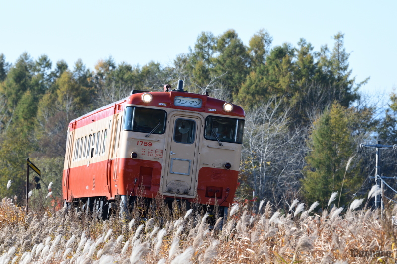 2427D ʗ