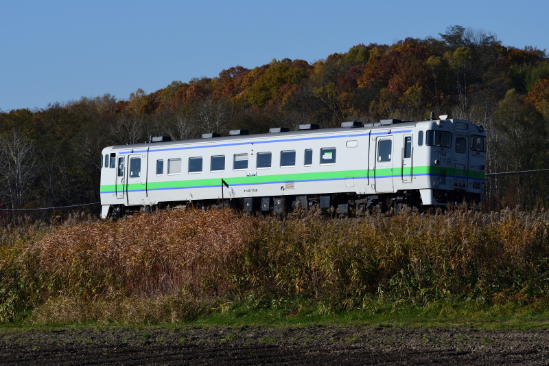 2432D ʗ