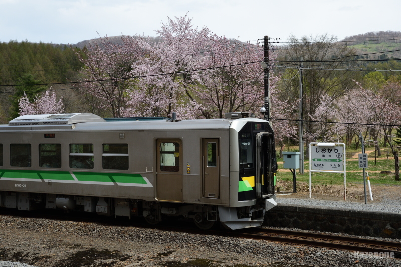 324D ʗ